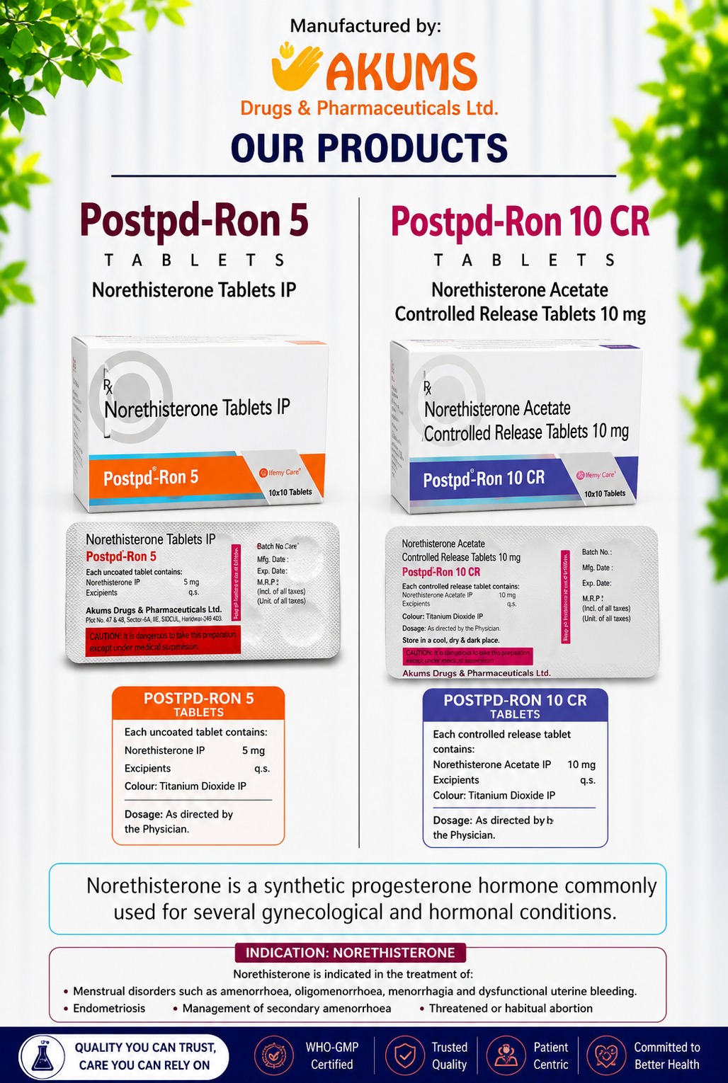 NORETHISTERONE 10MG
